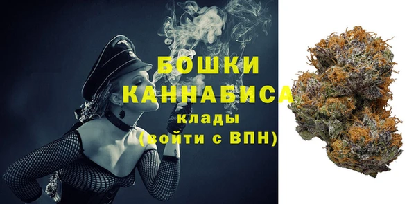 хмурый Абаза